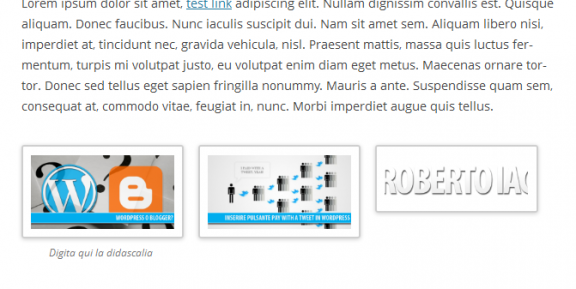 risultato finale galleria wordpress